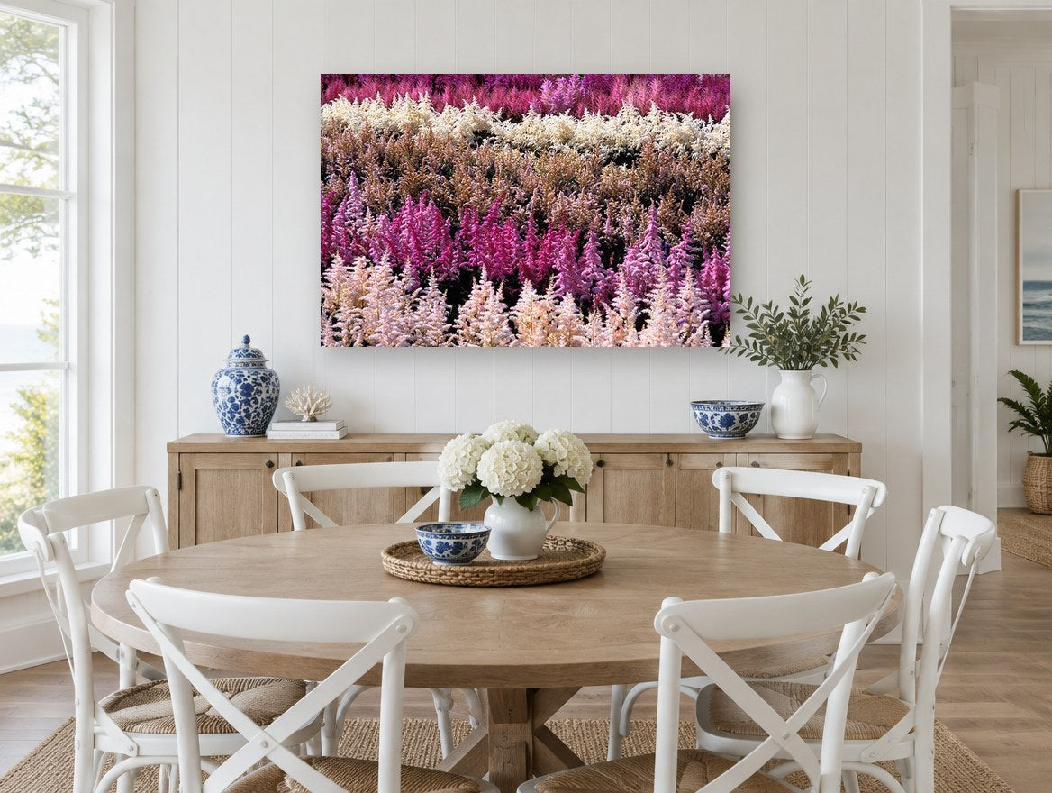 Astilbe Colour Rows landscape canvas print on the wall of a Hamptons dining room