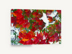 Snow on Red Maple, red maple leaves snow photograph, landscape canvas wall art print ready to hang