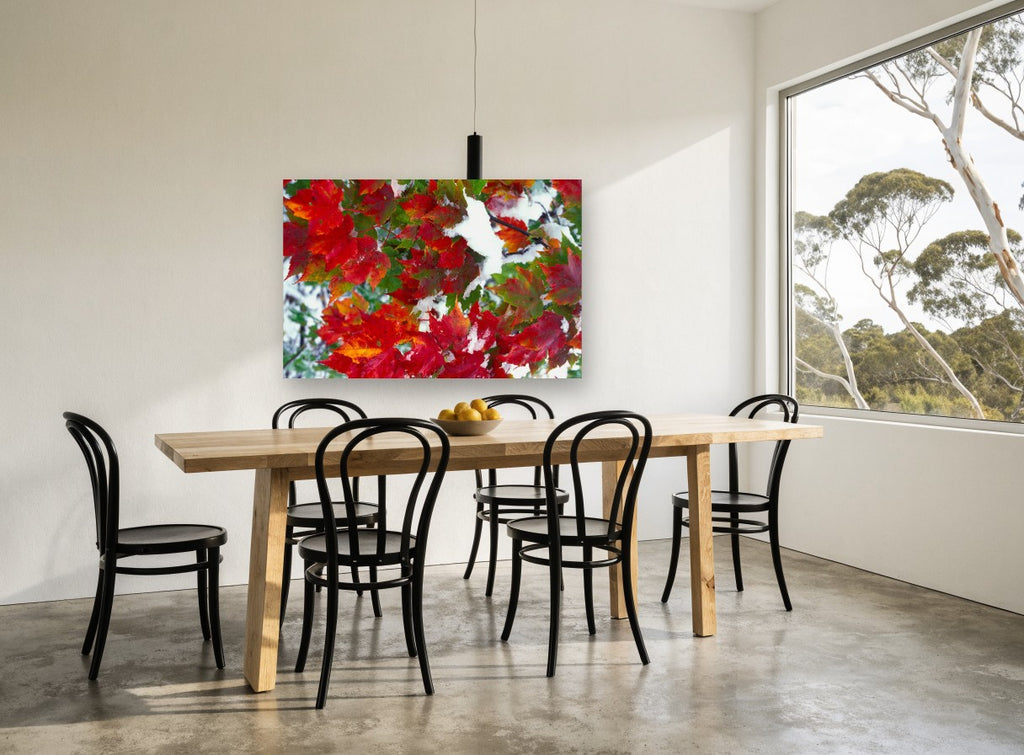 Snow on Red Maple landscape canvas print on the wall of a dining room