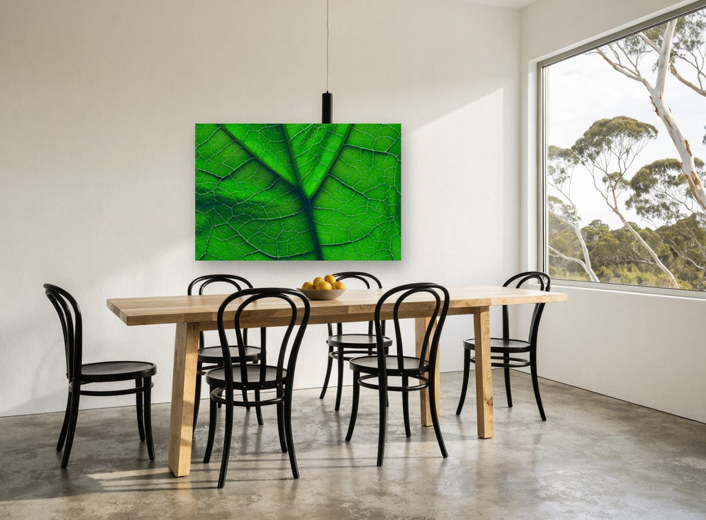 Backlit Leaf Veins floral canvas print on the wall of a dining room