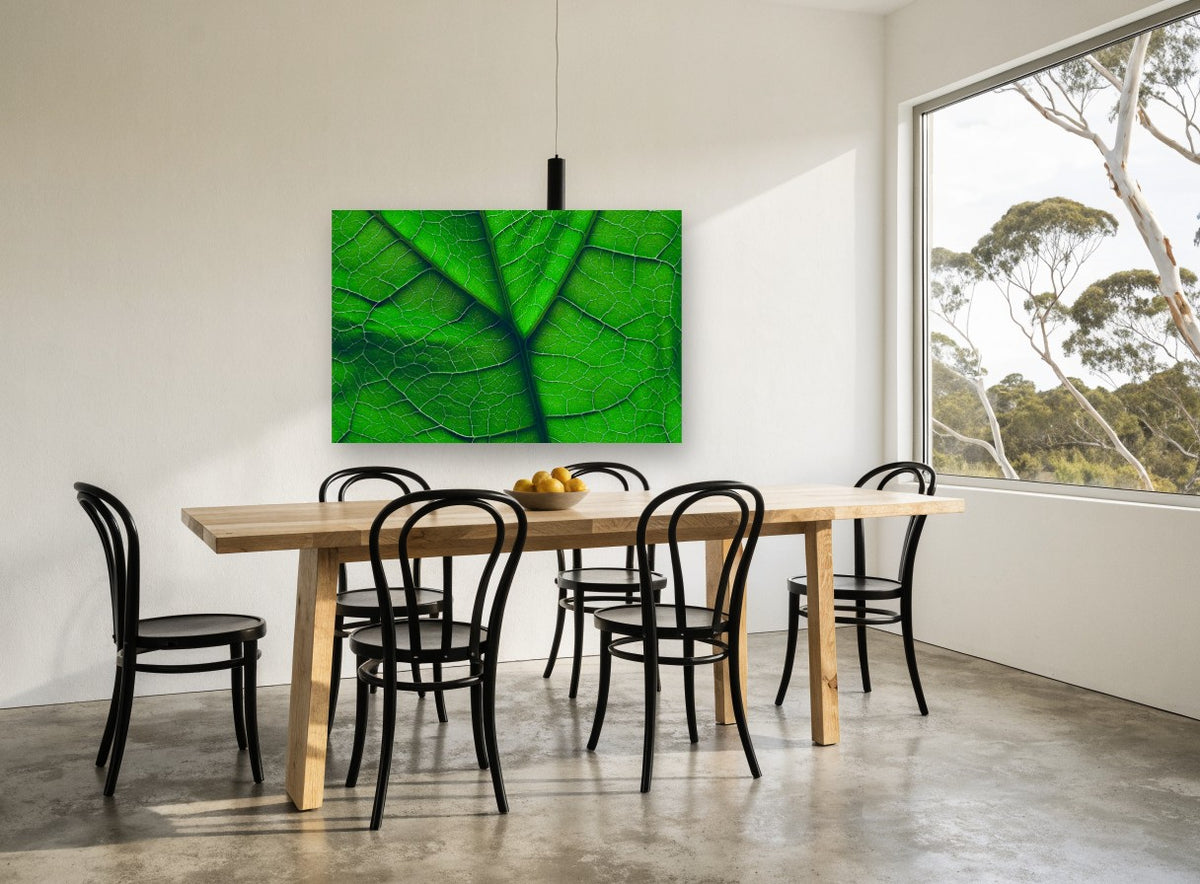 Backlit Leaf Veins floral canvas print on the wall of a dining room
