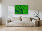 Backlit Leaf Veins floral canvas print on the wall of a living room