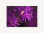 Purple Blooms Through Glass, floral canvas wall art print, front view