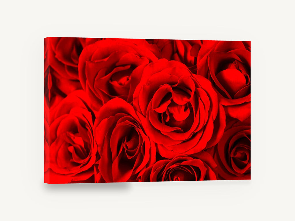 Crimson Rose Cluster, red roses close up photograph, floral canvas wall art print ready to hang