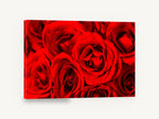 Crimson Rose Cluster, red roses close up photograph, floral canvas wall art print ready to hang