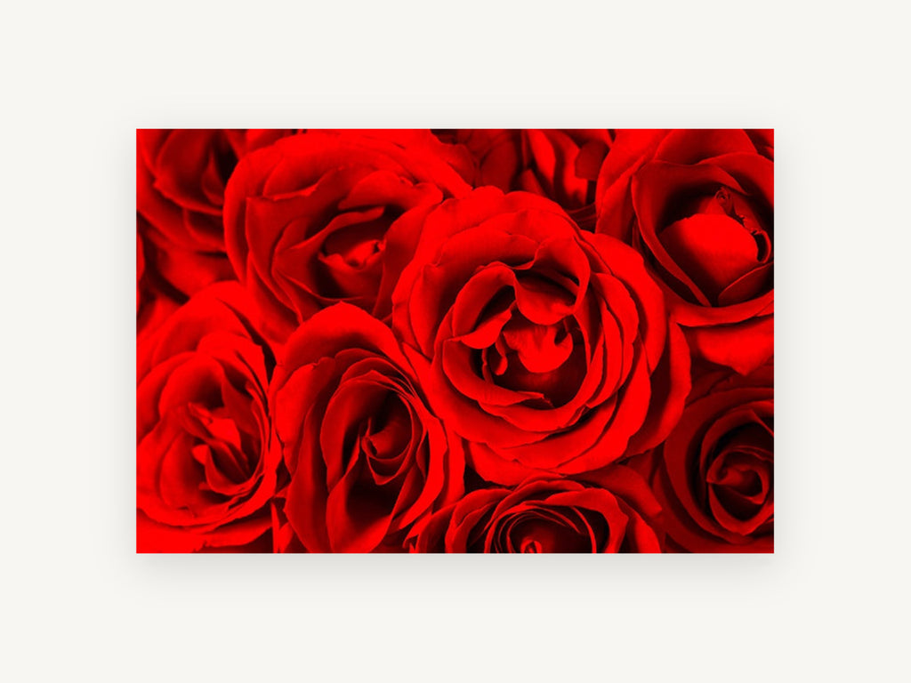 Crimson Rose Cluster, floral canvas wall art print, front view