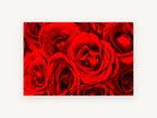 Crimson Rose Cluster, floral canvas wall art print, front view
