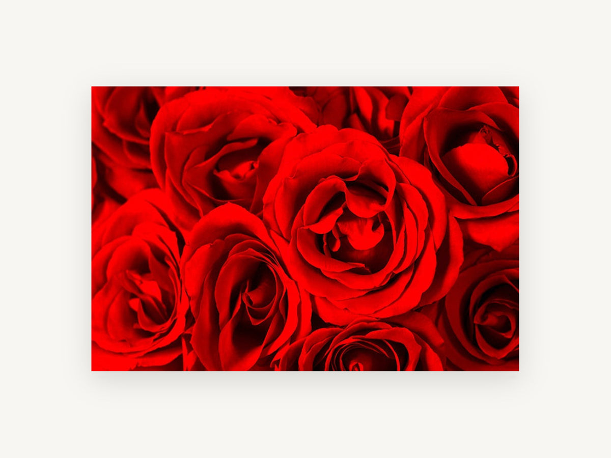 Crimson Rose Cluster, floral canvas wall art print, front view