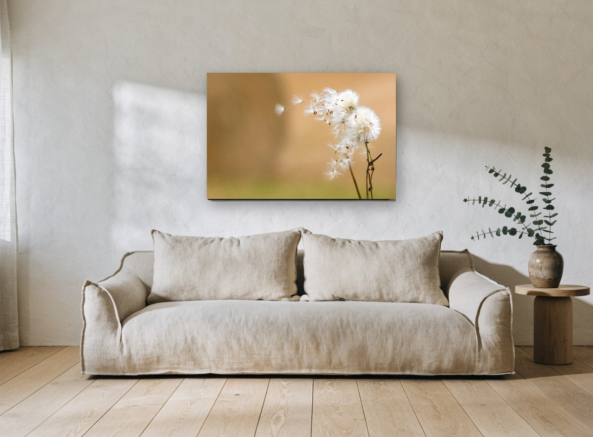 Seeds on the Breeze floral canvas print on the wall of a living room