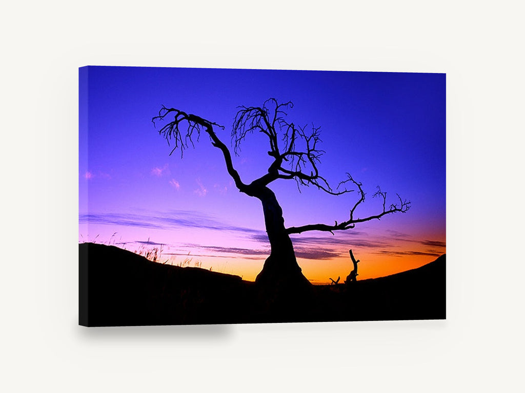 Twilight Bare Tree, bare tree silhouette sunset photograph, landscape canvas wall art print ready to hang