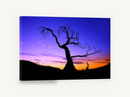 Twilight Bare Tree, bare tree silhouette sunset photograph, landscape canvas wall art print ready to hang