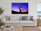 Twilight Bare Tree landscape canvas print on the wall of a beach house living room