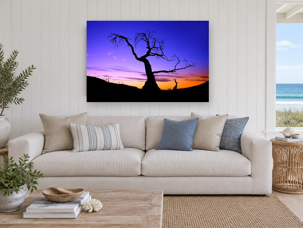 Twilight Bare Tree landscape canvas print on the wall of a beach house living room