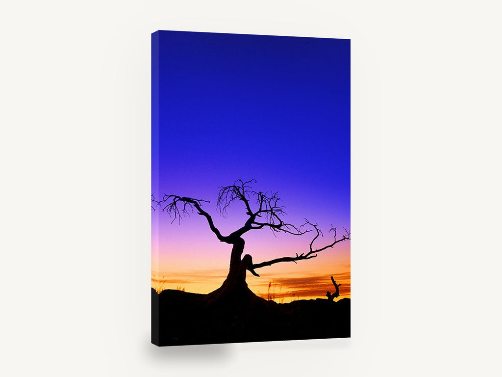 Twilight Silhouette Tree, bare tree sunset silhouette photograph, landscape canvas wall art print ready to hang
