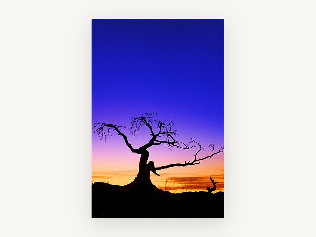 Twilight Silhouette Tree, bare tree sunset silhouette photograph, landscape canvas wall art print, front view