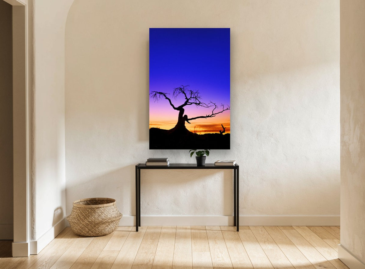 Twilight Silhouette Tree landscape canvas print on the wall of a hallway