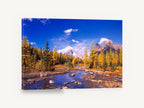 Golden Larch Creek, autumn larch mountain creek photograph, landscape canvas wall art print ready to hang