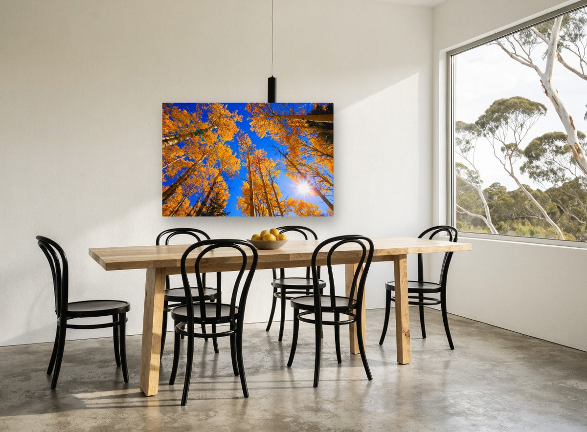Aspen Canopy Sunburst landscape canvas print on the wall of a dining room