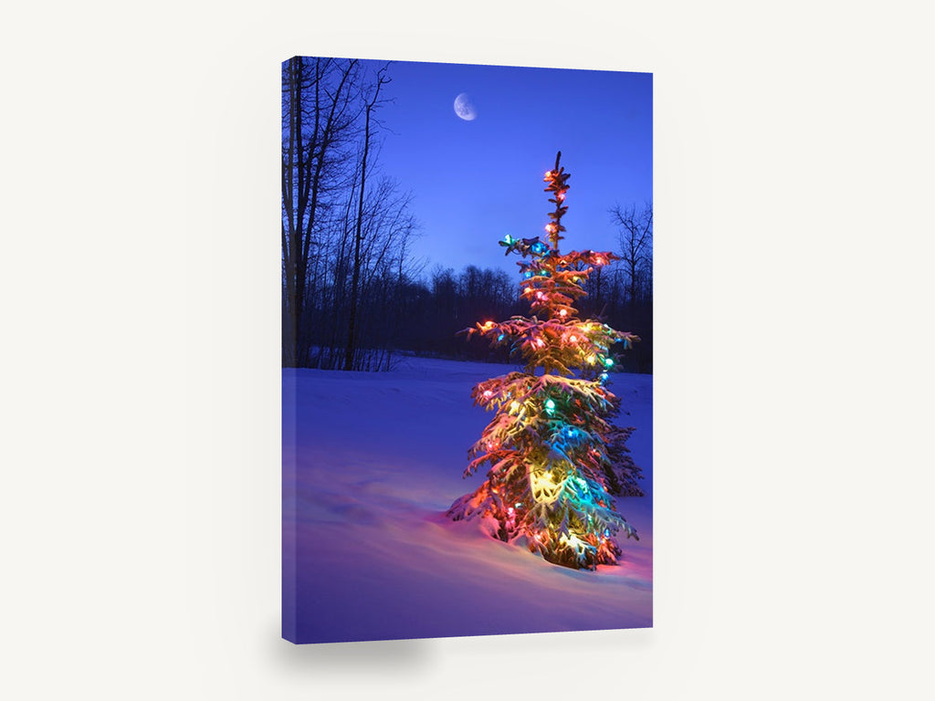 Lit Spruce at Dusk, christmas lights snowy tree photograph, landscape canvas wall art print ready to hang