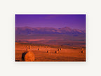 Purple Dusk Hay Fields, hay bales mountain sunset photograph, landscape canvas wall art print, front view