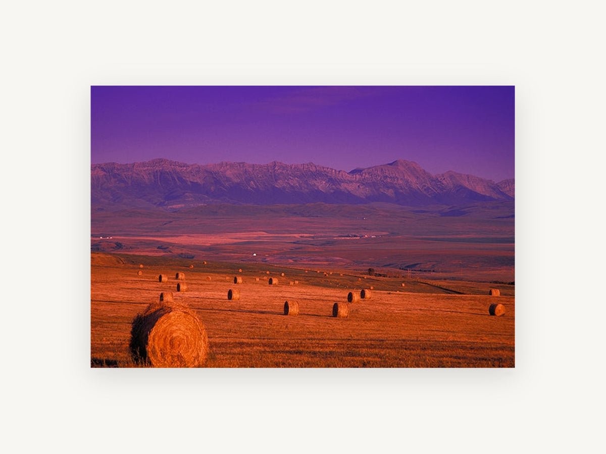 Purple Dusk Hay Fields, hay bales mountain sunset photograph, landscape canvas wall art print, front view