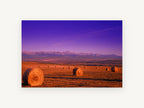 Purple Dusk Hay Bales, hay bales mountain sunset photograph, landscape canvas wall art print, front view