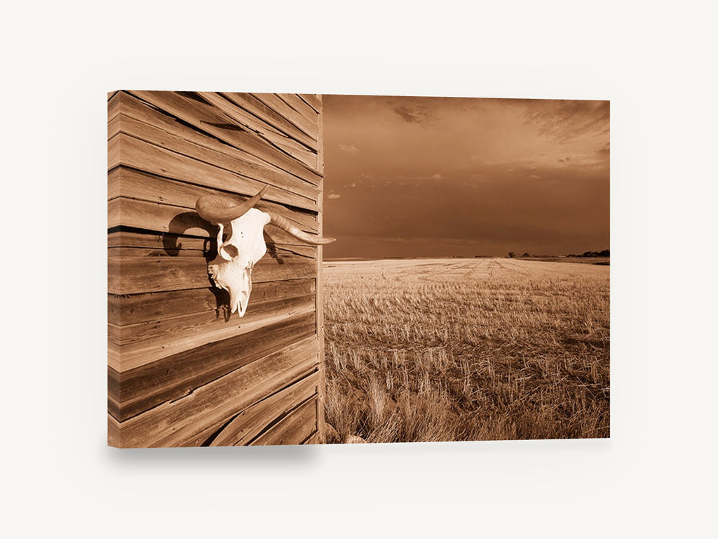 Skull on the Barn, sepia cattle skull farm photograph, landscape canvas wall art print ready to hang