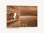 Skull on the Barn, sepia cattle skull farm photograph, landscape canvas wall art print ready to hang