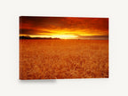 Ember Wheat Horizon, wheat field sunset photograph, landscape canvas wall art print ready to hang