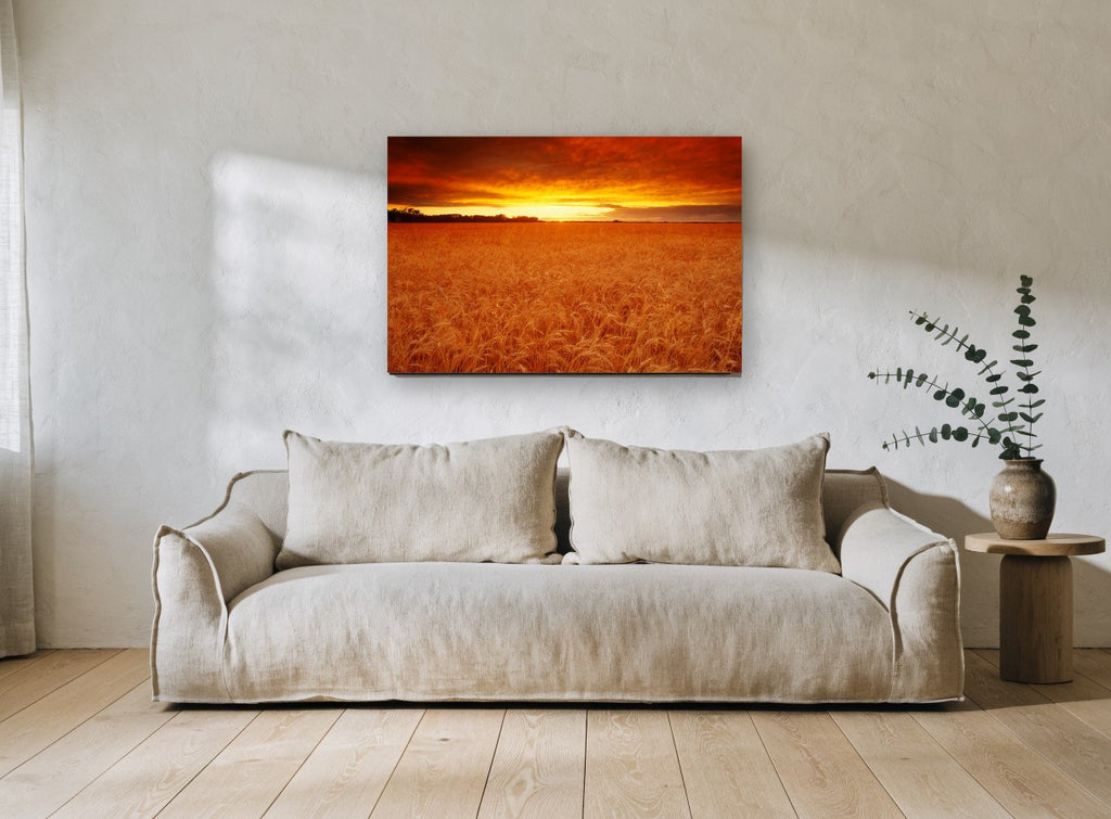 Ember Wheat Horizon landscape canvas print on the wall of a living room