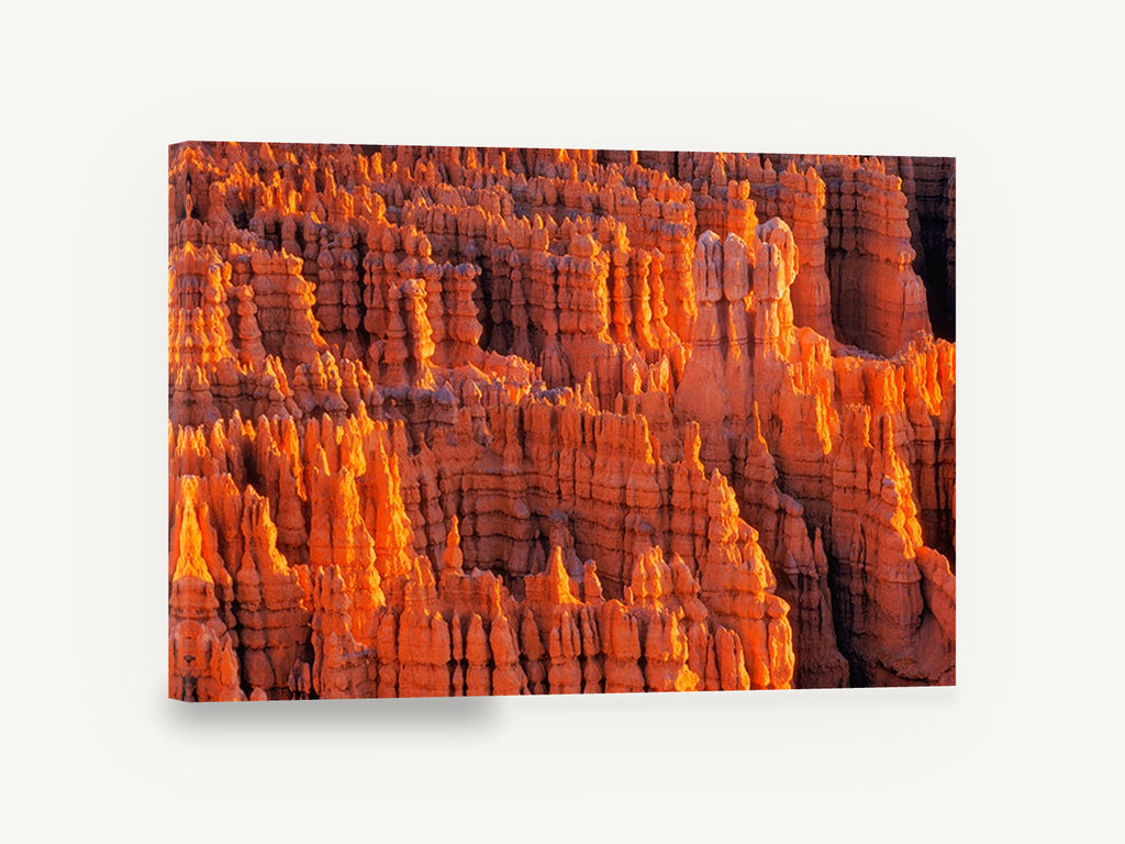 Glowing Hoodoo Amphitheatre, orange rock spires canyon photograph, landscape canvas wall art print ready to hang
