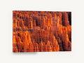 Glowing Hoodoo Amphitheatre, orange rock spires canyon photograph, landscape canvas wall art print ready to hang