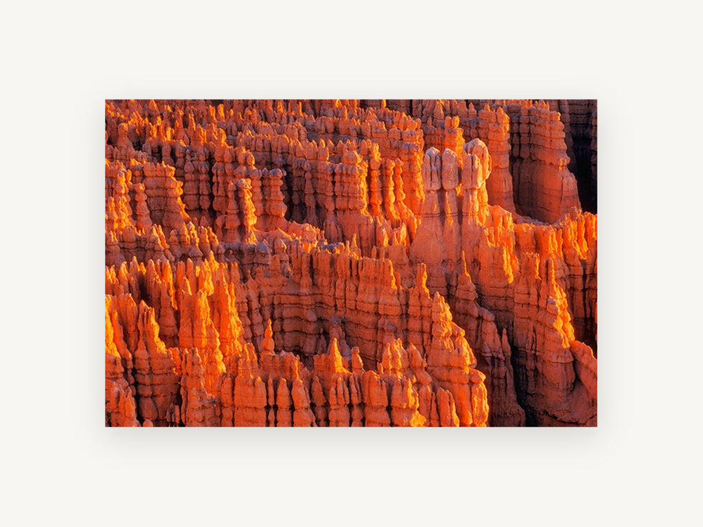 Glowing Hoodoo Amphitheatre, orange rock spires canyon photograph, landscape canvas wall art print, front view