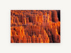 Glowing Hoodoo Amphitheatre, orange rock spires canyon photograph, landscape canvas wall art print, front view