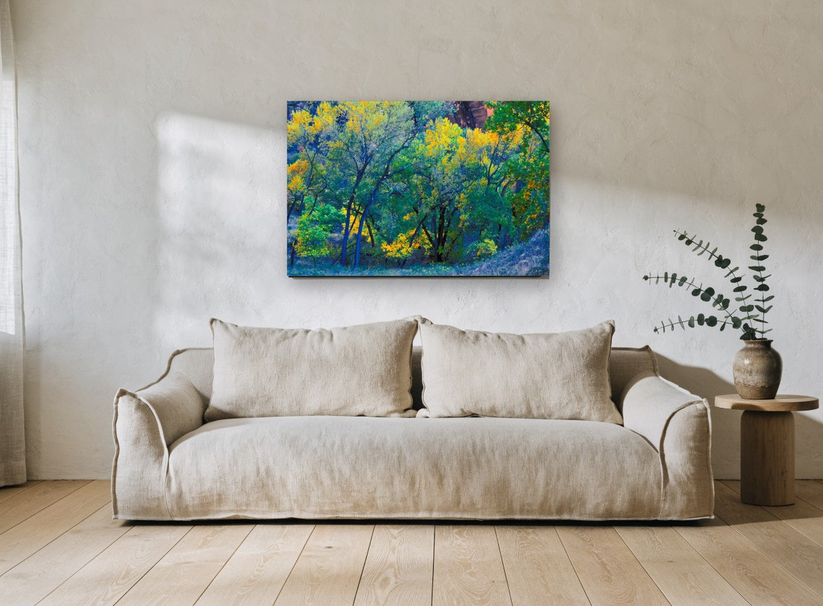 Autumn Cottonwood Glow landscape canvas print on the wall of a living room