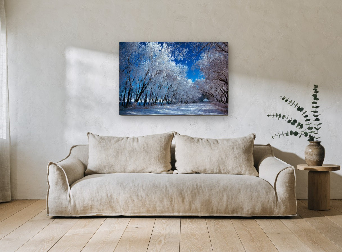 Frosted Lane landscape canvas print on the wall of a living room
