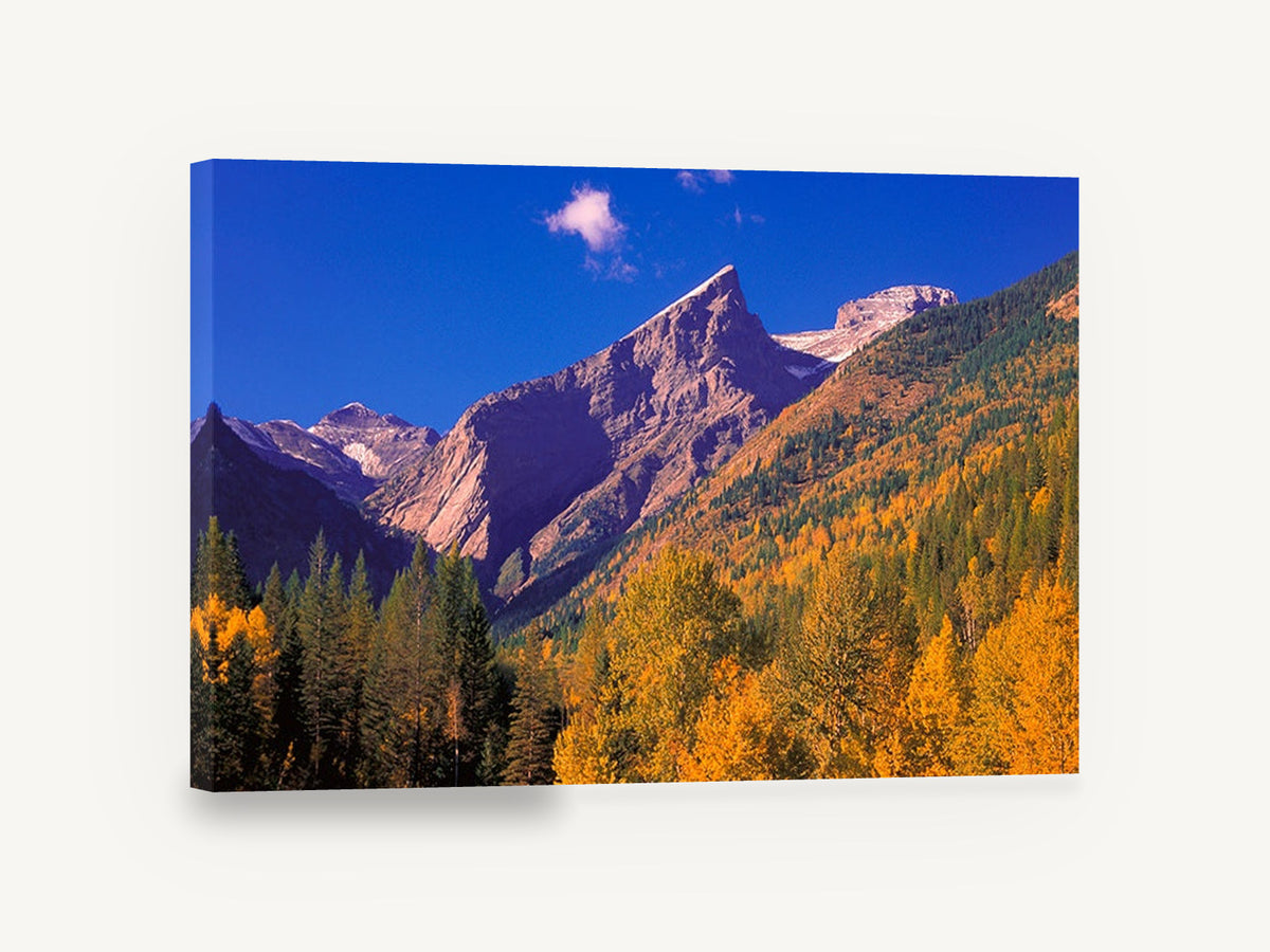 Golden Larch Valley, autumn mountain valley photograph, landscape canvas wall art print ready to hang