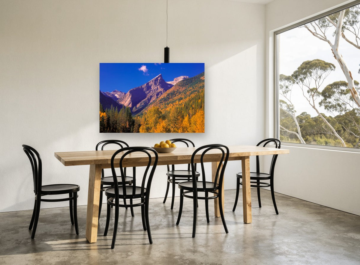 Golden Larch Valley landscape canvas print on the wall of a dining room