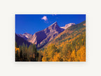 Golden Larch Valley, autumn mountain valley photograph, landscape canvas wall art print, front view