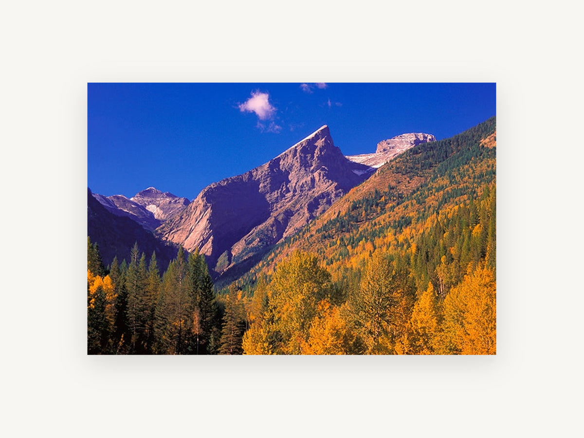Golden Larch Valley, autumn mountain valley photograph, landscape canvas wall art print, front view