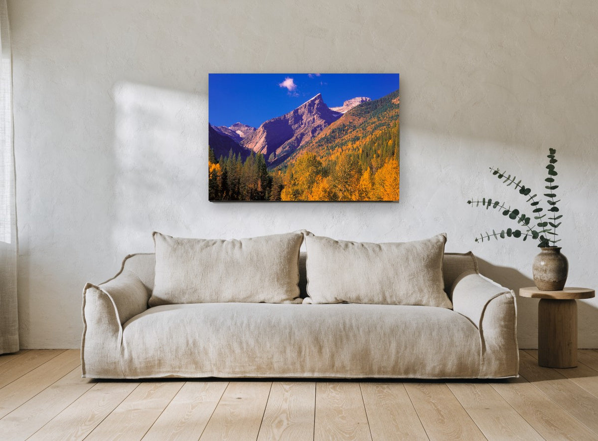 Golden Larch Valley landscape canvas print on the wall of a living room
