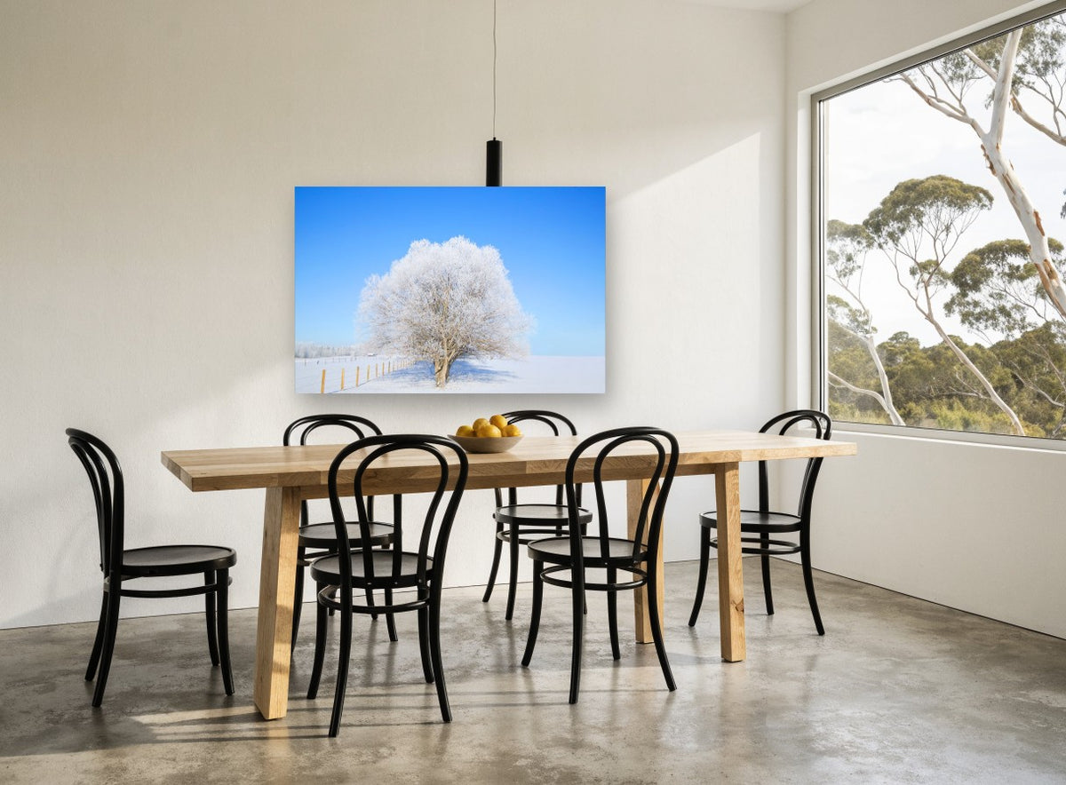 Frosted Tree Clear Sky landscape canvas print on the wall of a dining room