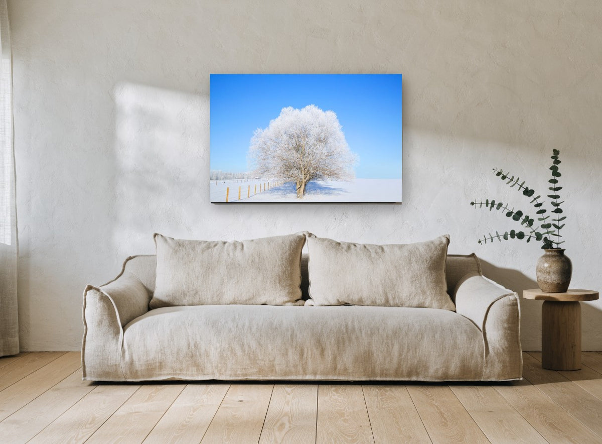 Frosted Tree Clear Sky landscape canvas print on the wall of a living room
