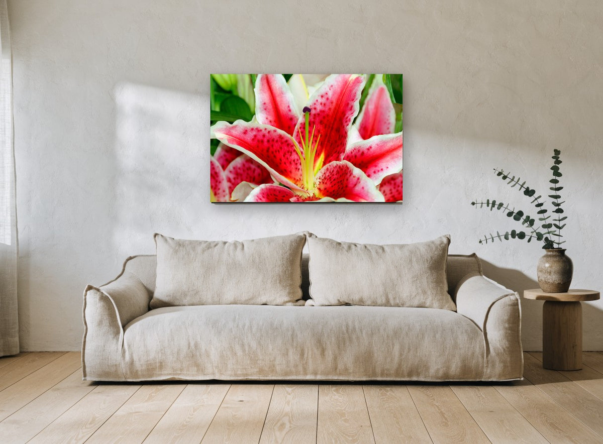 Crimson Star Lily floral canvas print on the wall of a living room