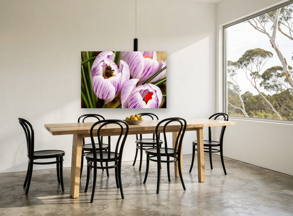 Bee in Striped Crocus floral canvas print on the wall of a dining room