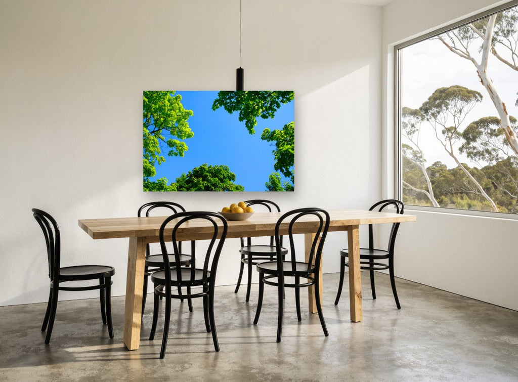 Maple Canopy Sky landscape canvas print on the wall of a dining room
