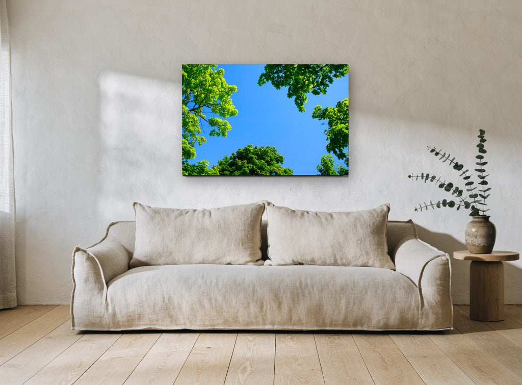 Maple Canopy Sky landscape canvas print on the wall of a living room