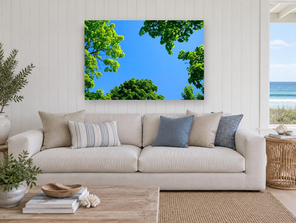 Maple Canopy Sky landscape canvas print on the wall of a beach house living room