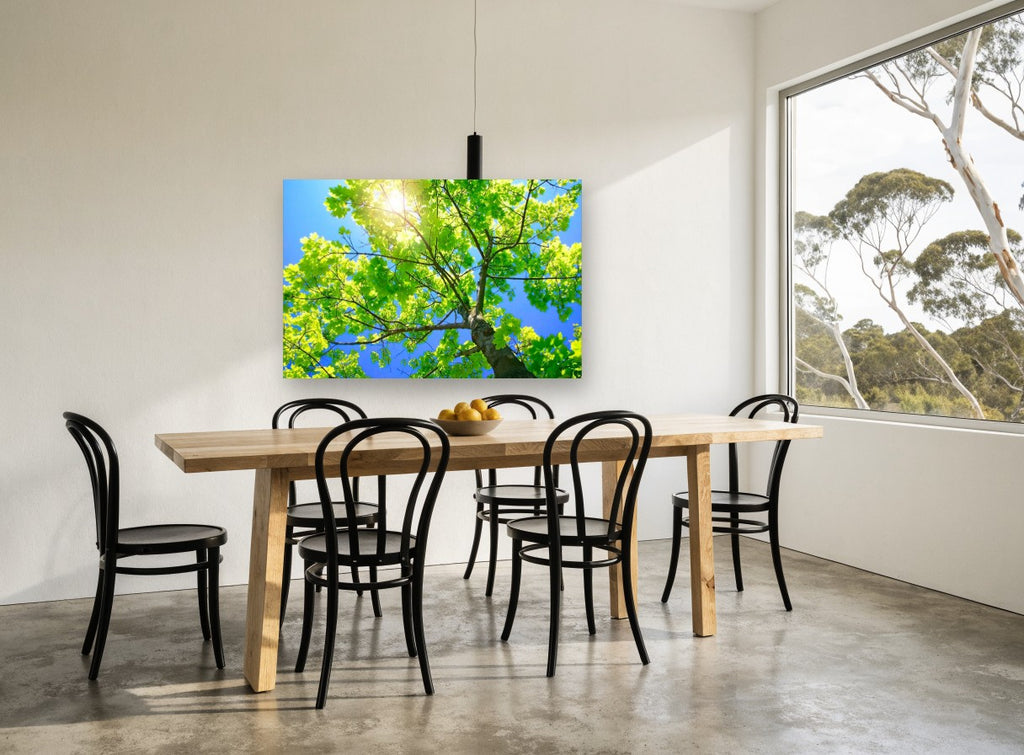 Sunlit Maple Canopy landscape canvas print on the wall of a dining room