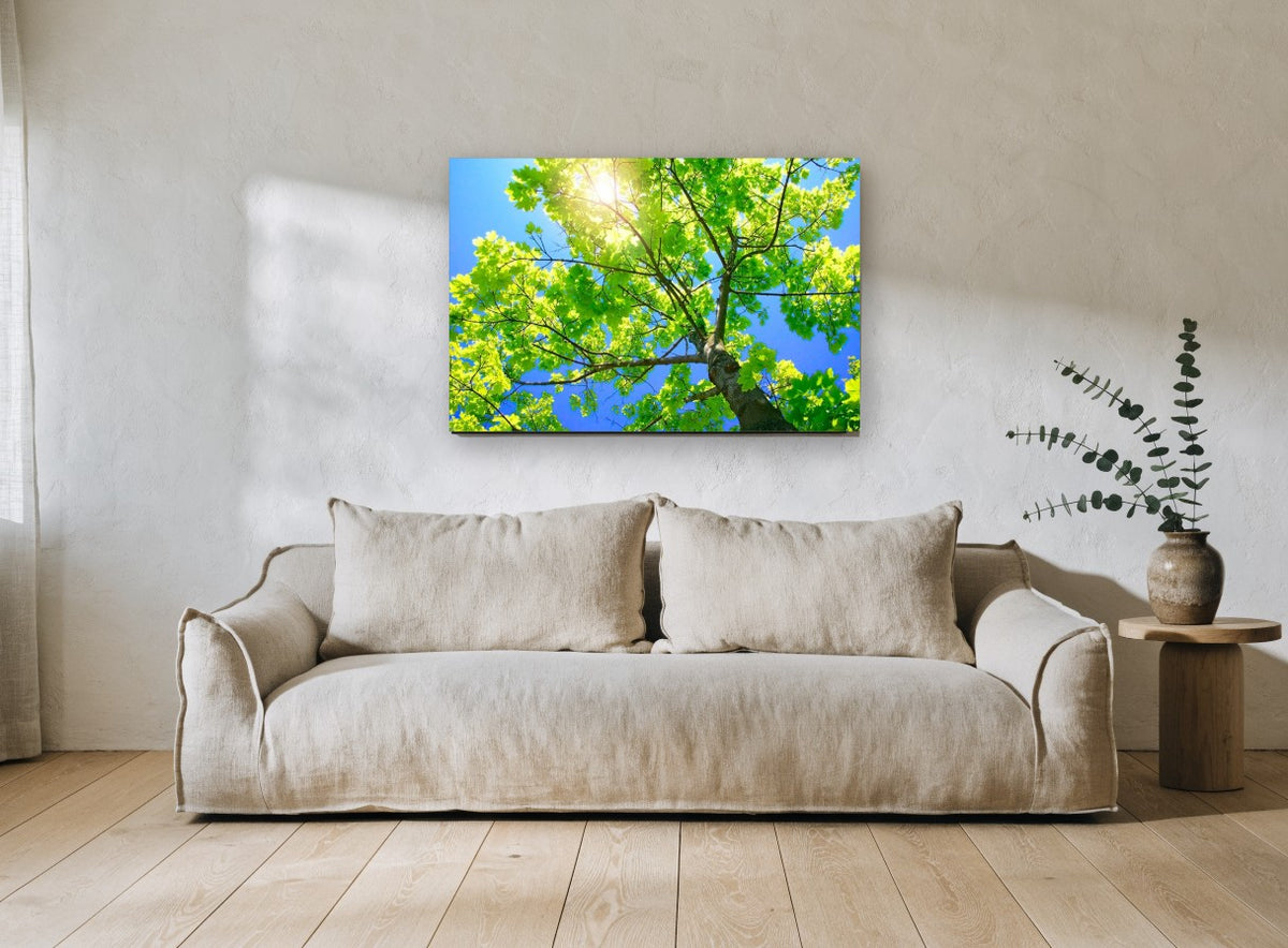 Sunlit Maple Canopy landscape canvas print on the wall of a living room
